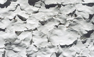 Fragile Fragments by Juror Pamela Grau