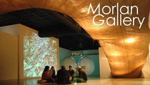 Learn more about the Morlan Gallery at Transylvania University!
