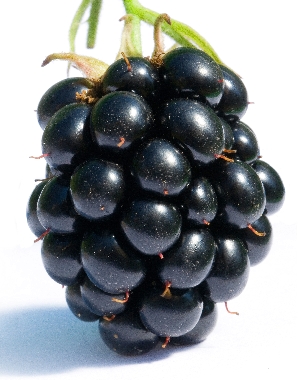 Click to Subscribe to www.ArtAndArtDeadlines.com by Email!