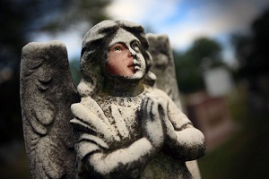 Inner Lies and Exoskeletons by Thomas Graef