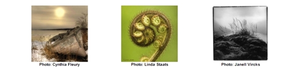 Learn more about Open to Interpretations Call for the Intimate Landscape!