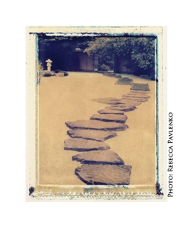 Learn more about Open to Interpretations Call for the Intimate Landscape