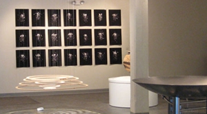 Learn more about the Sebastopol Center for the Arts!