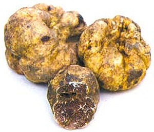 Click to Subscribe to www.ArtAndArtDeadlines.com by Email!