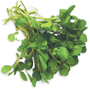 Click to Subscribe to www.ArtAndArtDeadlines.com by Email!