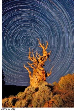 Learn more about the Night Visions Call for Entries!