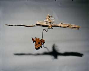 See the current exhibit by Lucy Hodgson at SOHO20 Gallery Chelsea!