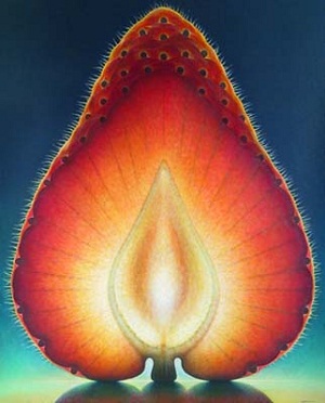 Strawberry Series #2 by Juror Dennis Wojtkiewicz