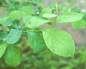 Click to Subscribe to www.ArtAndArtDeadlines.com by Email!