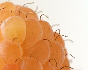 Click to Subscribe to www.ArtAndArtDeadlines.com by Email!