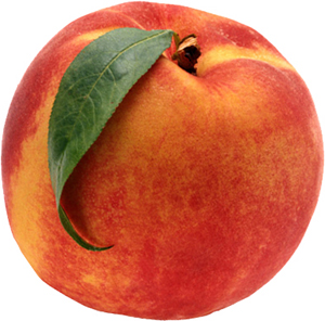 Click to Subscribe to www.ArtAndArtDeadlines.com by Email!