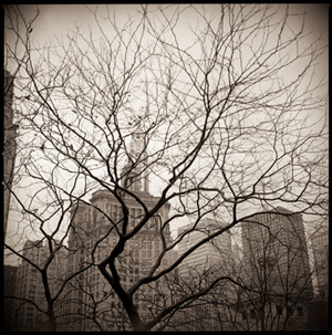 Downtown Trees by Juror Douglas Beasley