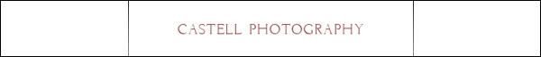 Download the Prospectus from Castell Photography Gallery!
