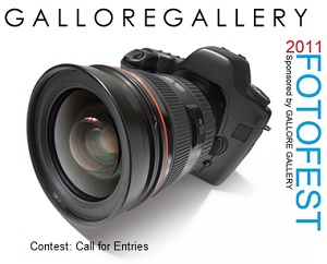 Learn more about Fotofest 2011!