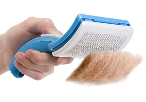 Learn more about Fur Elise from White Flag Projects!