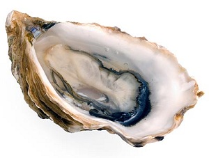 Click to subscribe to www.ArtAndArtDeadlines.com by Email!