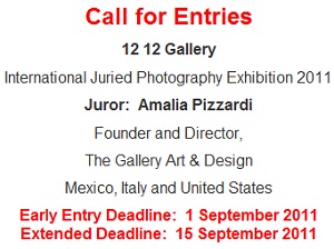 Download the Prospectus from the 12 12 Gallery!