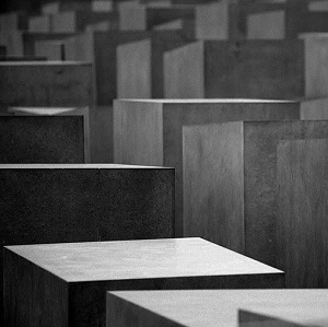 Download the Prospectus from the 12 12 Gallery!