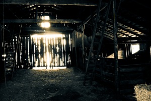 Learn more about Butterfinger the 13th Poster Contest!