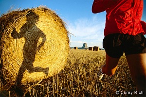 Learn more about the Natural Playground show at Darkroom Gallery!