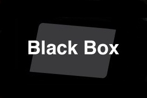 Read the full Call for Entries from the Black Box Gallery!