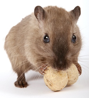 Click to Subscribe to www.ArtAndArtDeadlines.com by Email!