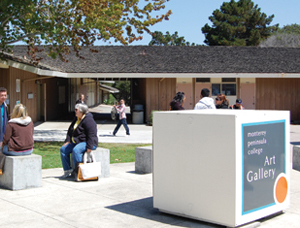 Read the Full Call from Monterey Peninsula College Art Gallery!