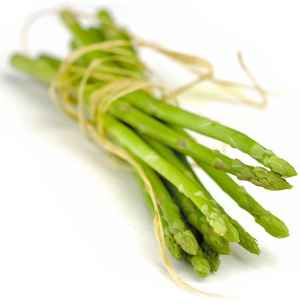 Click to Subscribe to www.ArtAndArtDeadlines.com by Email!