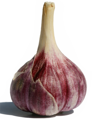 Click to Subscribe to www.ArtAndArtDeadlines.com by Email!