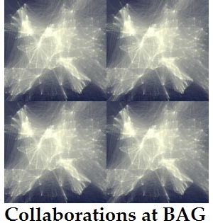 Learn more about Collaborations at BAG!