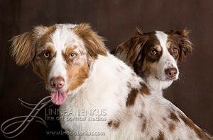 Learn more about the Rest in Show Exhibit!