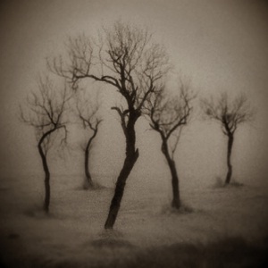 Learn more about the Winter Exhibit from the A Smith Gallery!