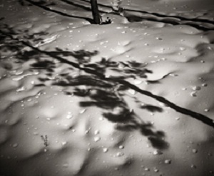 Learn more about the Winter Exhibit from the A. Smith Gallery!