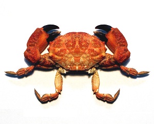 Click to Subscribe to www.ArtAndArtDeadlines.com by Email!