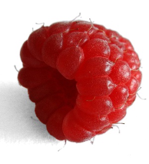 Click to Subscribe to www.ArtAndArtDeadlines.com by Email!