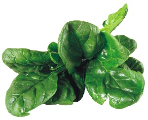 Click to Subscribe to www.ArtAndArtDeadlines.com by Email!