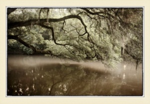 Flint River WMA by Diane Kirkland