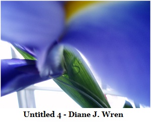 Take a look at Past Exhibits at the Lana Santorelli Gallery!