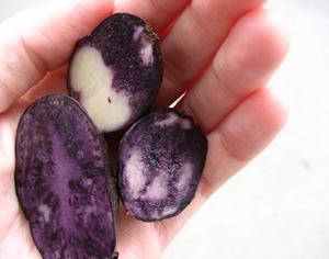 Click to Subscribe to www.ArtAndArtDeadlines.com by Email!