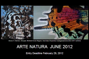 Learn more about Arte Natura 2012!