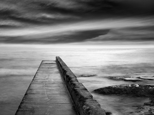 Learn more about the Monochromatic show at the Darkroom Gallery!