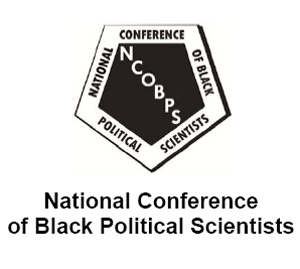 Learn more about the Visualizing the Black Condition Show!