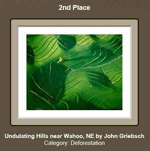 See the ETAL winners for 2011!