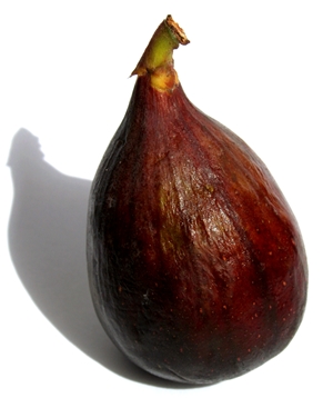 Click to Subscribe to www.ArtAndArtDeadlines.com by Email!