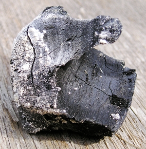 Click to Subscribe to www.ArtAndArtDeadlines.com by Email!