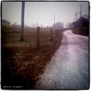 Learn more about the iSpy Camera Phone Photography Show at the Kiernan Gallery!