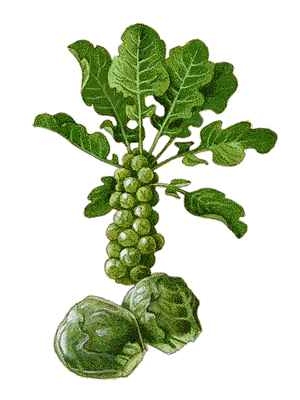 Click to Subscribe to www.ArtAndArtDeadlines.com by Email!