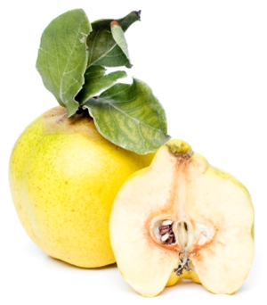 Click to Subscribe to www.ArtAndArtDeadlines.com by Email!