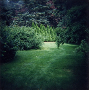 Learn more about the Gardens exhibit at the A Smith Gallery juried by Steve Goff!