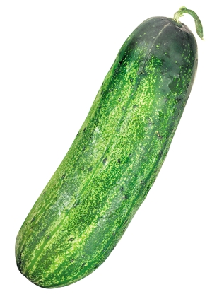 Click to Subscribe to www.ArtAndArtDeadlines.com by Email!